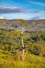 Image showing El Camino Real trail in Barichara. Andes mountains, Colombia.