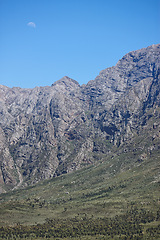 Image showing Nature, trees and mountains for outdoor in morning, hiking and grassland in countryside. Outside, green plants and landscape in Spain with forests, woods and conservation environment with blue sky