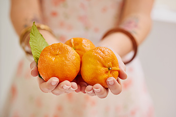 Image showing Vitamin C, citrus and tangerine with fruit for wellness, cardiovascular health or fiber in home. Nutrition, healthy and food as snack, antioxidant and juice for organic, eating and diet in hands