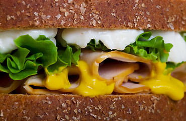 Image showing Chicken Sandwich Macro