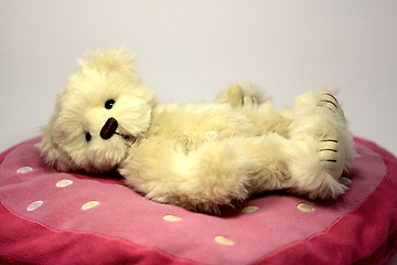 Image showing Valentines teddy bear