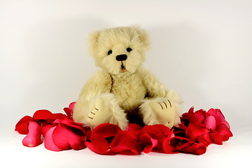 Image showing Valentines Teddy bear