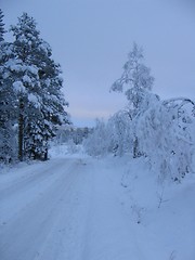 Image showing Winter road