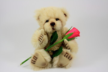 Image showing Valentines Teddy Bear