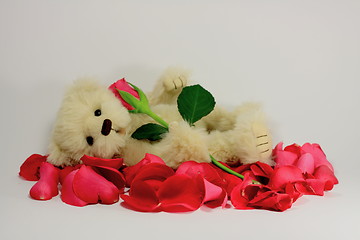 Image showing Valentines Teddy Bear