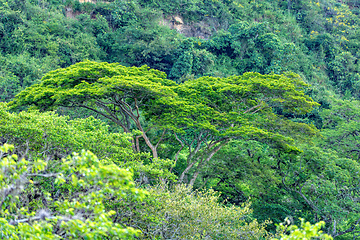 Image showing El Camino Real trail in Barichara. Andes mountains, Colombia.