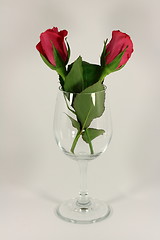 Image showing Valentine roses