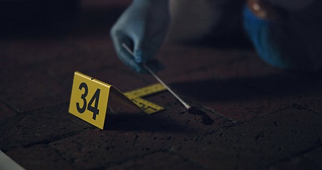 Image showing Evidence marker, csi and swab of blood at crime scene with forensic on floor at night for investigation of murder. Professional, expert in gloves and case investigator with observation and search