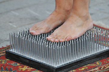 Image showing bed of nails