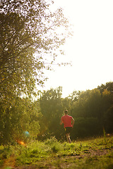 Image showing Man, woods and trail running outdoors with athlete for endurance with training for physical fitness. Male person, back and cross country for workout routine, race and drill for performance in balance