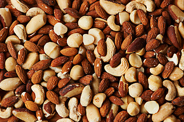 Image showing Nuts, mix and organic snack for health, selection and variety of options for fat and minerals. Closeup, nutrition and textures of vitamins or antioxidants, wellness and cashew or almonds for energy