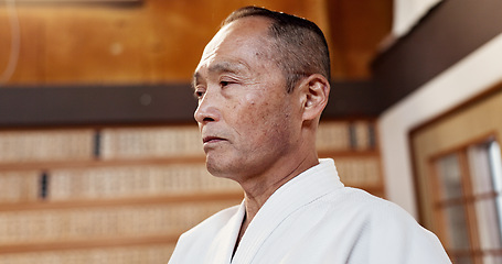 Image showing Aikido, master and man in martial arts in class or sensei with pride in traditional gym for japanese fighting. Attention, mature fighter or education of self defence, skill or instruction in practice