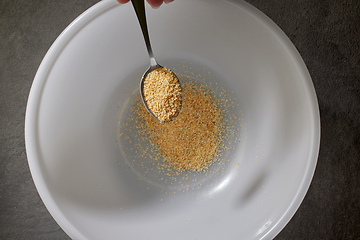 Image showing spoon of ground dried garlic spice