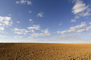 Image showing brown soil field