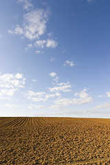 Image showing brown soil field