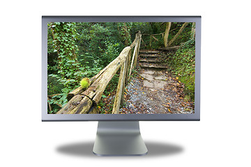 Image showing lcd monitor flat screen