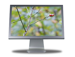 Image showing lcd monitor flat screen