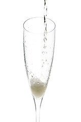 Image showing Champagne glass celebration