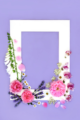 Image showing Summer Medicinal Flowers Background Frame