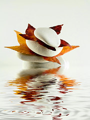 Image showing Beach stones with  leaves and water