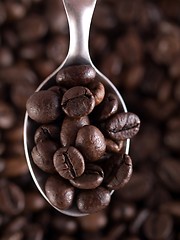 Image showing Coffee beans and spoon