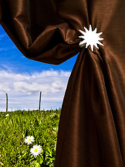 Image showing Opening on a beautiful meadow