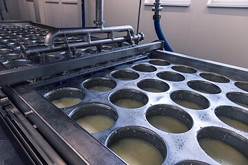 Image showing Fresh cheese curds being pressed