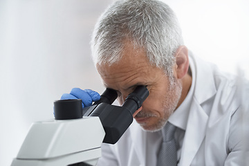 Image showing Mature man, microscope and scientist in lab for science innovation, vaccine or antiaging medicine. Life extension, medical or healthcare biologist looking at DNA chemistry in research or examination