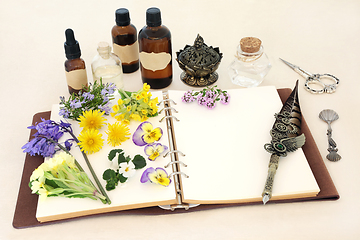 Image showing Spring Herbs and Flowers for Natural Herbal Remedies