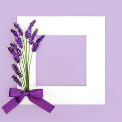 Image showing Lavender Flower Herb Abstract Floral Background Frame 