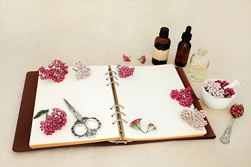 Image showing Achillea Herb Flowers for Alternative Herbal Medicine  