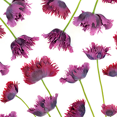 Image showing Abstract Oriental Purple Poppy Background Pattern