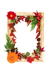 Image showing Harvest Festival Autumn Fall Background Frame 