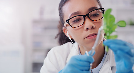 Image showing Leaf, growth or woman botanist with plant research, innovation or experiment study. Futuristic, scissor or glasses by scientist for gmo engineering, inspection or chlorophyll gene implant or extract