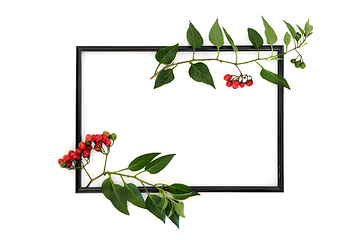 Image showing Deadly Nightshade Atropa Belladonna Background Frame