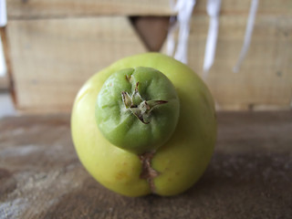 Image showing strange apple