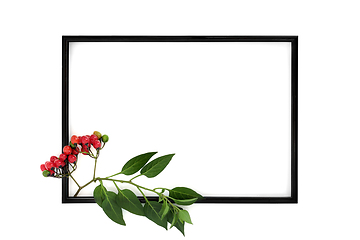 Image showing Deadly Nightshade Plant Background Frame 