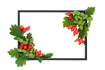 Image showing  Autumn Oak Leaves and Red Rosehip Fruit Background Border Frame