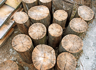 Image showing Wooden logs
