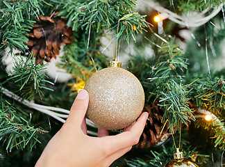 Image showing Person, hands and ball with Christmas tree for decoration, festive or holiday season at home. Closeup of ornament, lights and decor with glitter bauble in December celebration or new year preparation