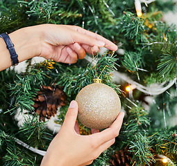 Image showing Person, hands and bauble with Christmas tree for decoration, festive or holiday season at home. Closeup of ornament, lights and decor with glitter ball in December celebration or new year preparation