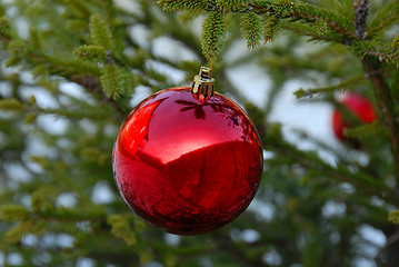 Image showing Christmas ball