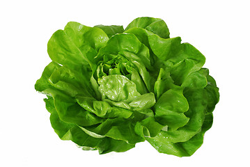 Image showing green lettuce isolated over white