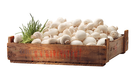 Image showing Crate of fresh white mushroom