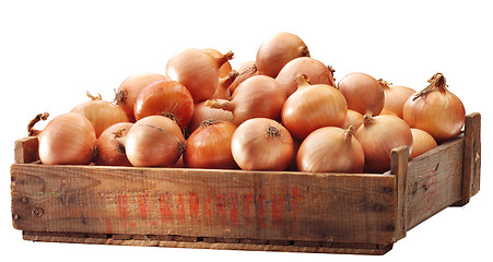 Image showing Crate of brown onions