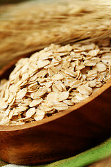 Image showing oats