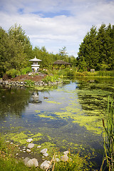 Image showing Park Pond