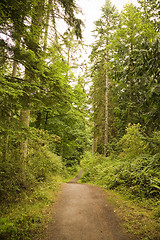 Image showing Pacific Northwest Trail