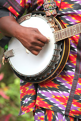 Image showing Caribbean banjo player.
