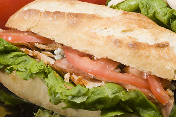 Image showing gourmet chicken sandwich